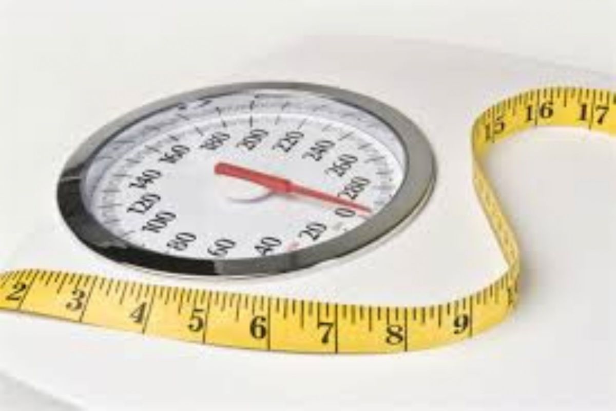 metabolismo